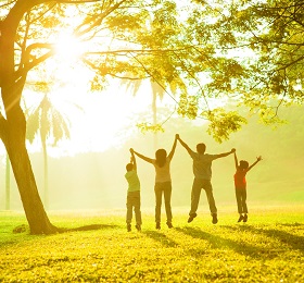 7 Days 6 Nights Munnar Th...